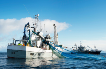 Sikkerhetsopplæring for fiskere avvikles